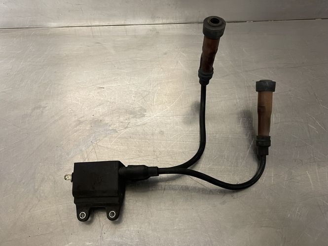 Hovedbilde Triumph Bonneville T100 2006 Coil